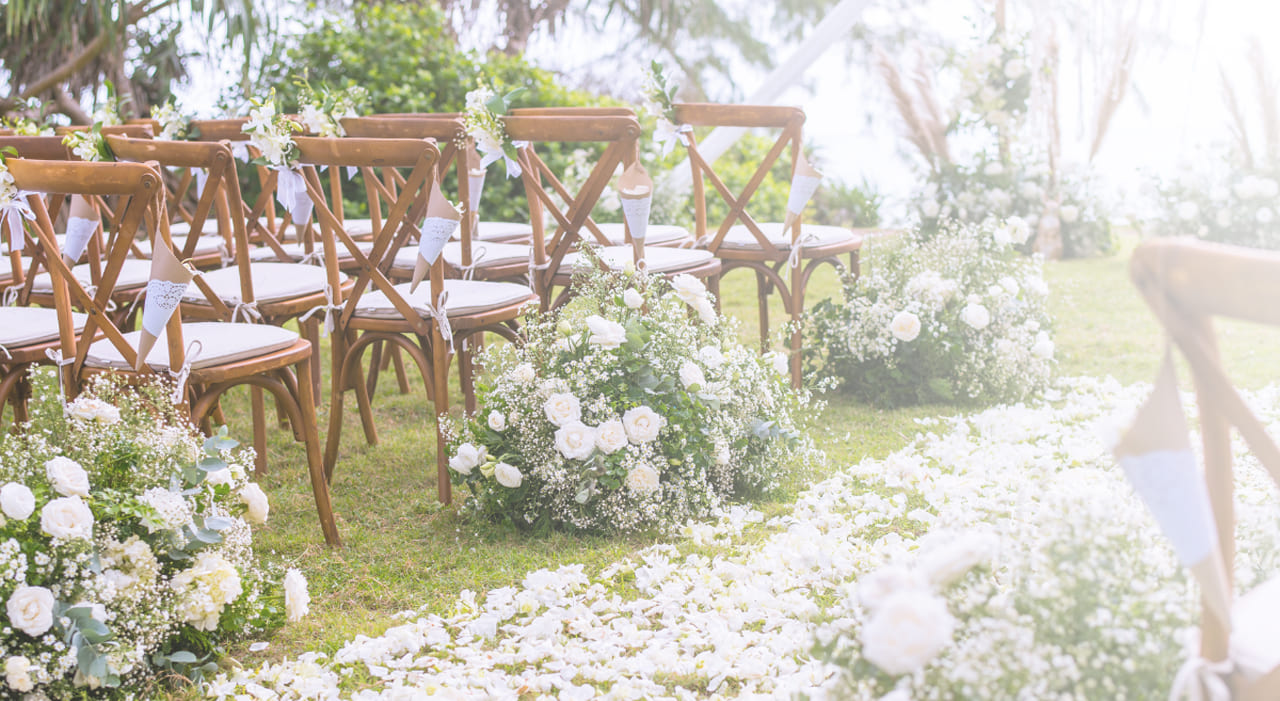 Banner banco de imagenes flores o macia 1280x701px